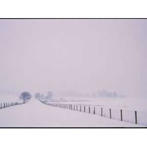  Wood and Wire Fences Running Across a Snowy Field National 
