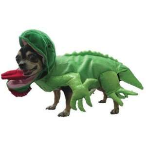  Iguana Dog Costume