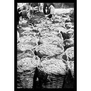  Vintage Art Baskets of Wine Grapes at Richon Le Zion 