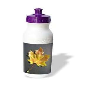 Yves Creations Colorful Leaves   Gold Feathered Leaf   Water Bottles