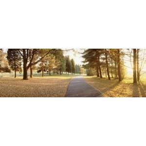  Autumn Trees along a Road, Middleburg, Virginia, USA 