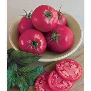  Tomato, Razzle Dazzle Hybrid 1 Pkt. (30 seeds) Patio 