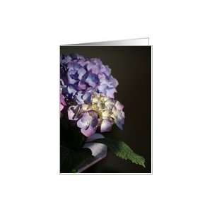  Pretty Hydrangeas Blank Note floral Card Health 