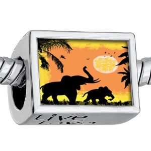    Mom Baby Elephant Photo European Beads Fits Pandora Charm Bracelet