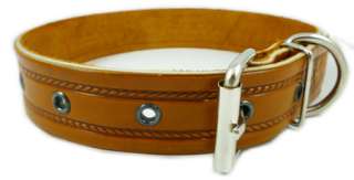 17 23 Tooled Leather Dog Collar Rich Pattern Texture  