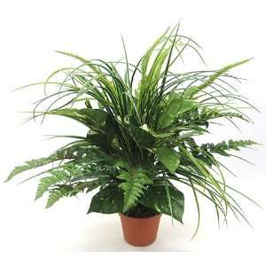  Artificial Silk Grass Pothos Fern and Raphis Palm Potted 