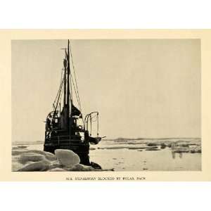   Polar Iceberg Ice Shelf   Original Halftone Print