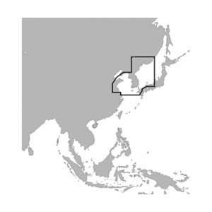  C MAP AN M203 SD CARD FORMAT YELLOW SEA MALAYA (17602 