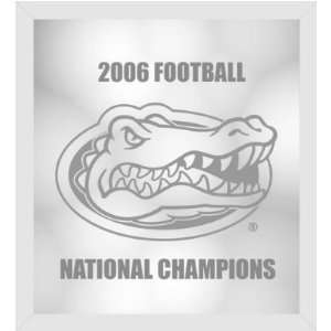  Florida Gators Wall Mirror NCAA College Athletics Fan Shop 