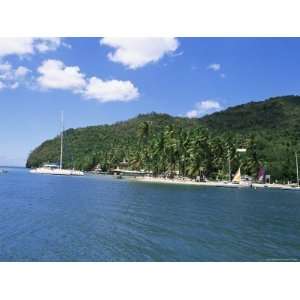 Tropical Beach, Marigot Bay, St. Lucia, Windward Islands, West Indies 
