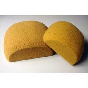 Large Turtle Body Sponge for Horse & Tack  Sports 
