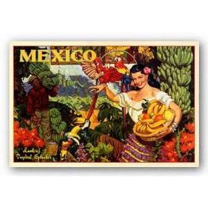  Mexico, Land of Tropical Splendor   Giclee 14x19.875 Art 
