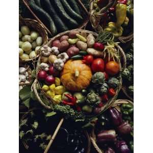  Various Vegetables in a Basket at the Tilth Festival in 