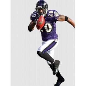  Wallpaper Fathead Fathead NFL Players and Logos Ed Reed 