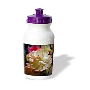 Flowers   Carnation   Water Bottles 